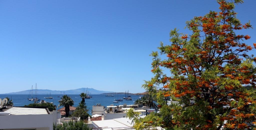 Agan Pension Bodrum Ngoại thất bức ảnh