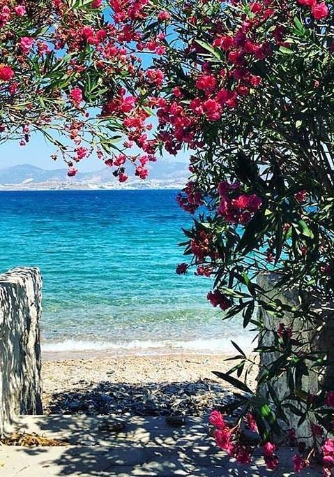 Agan Pension Bodrum Ngoại thất bức ảnh
