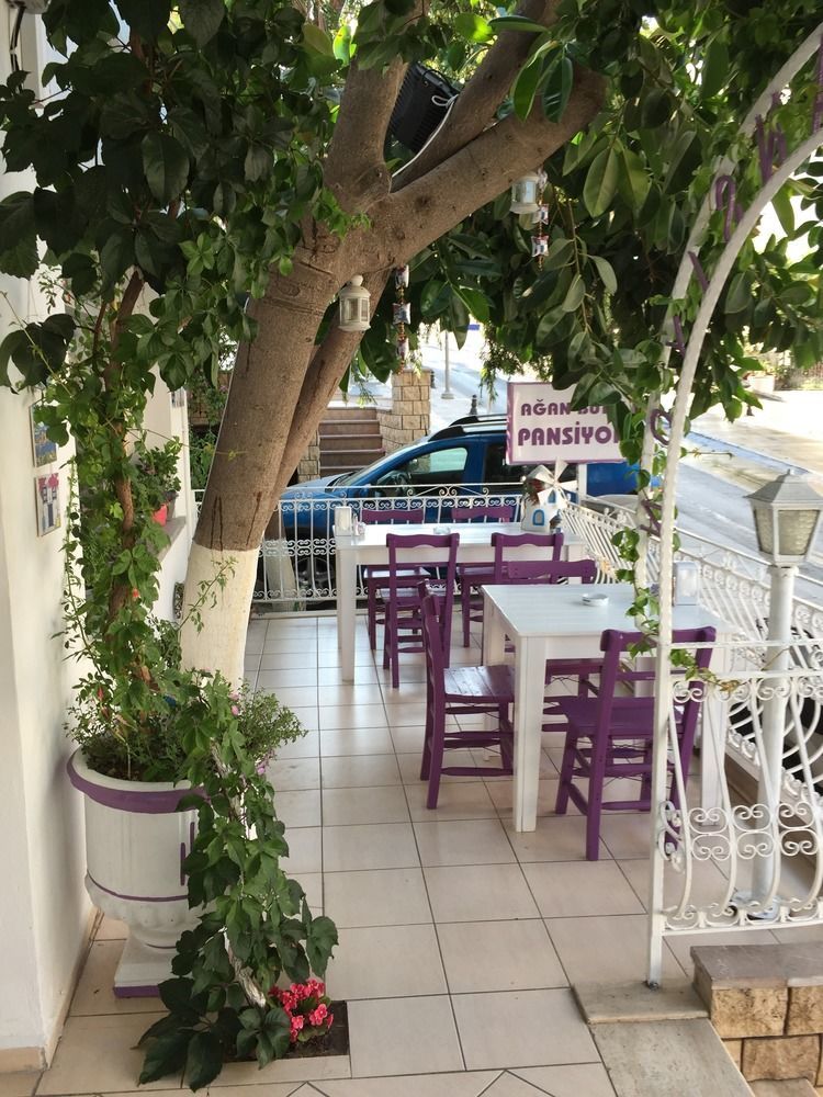 Agan Pension Bodrum Ngoại thất bức ảnh