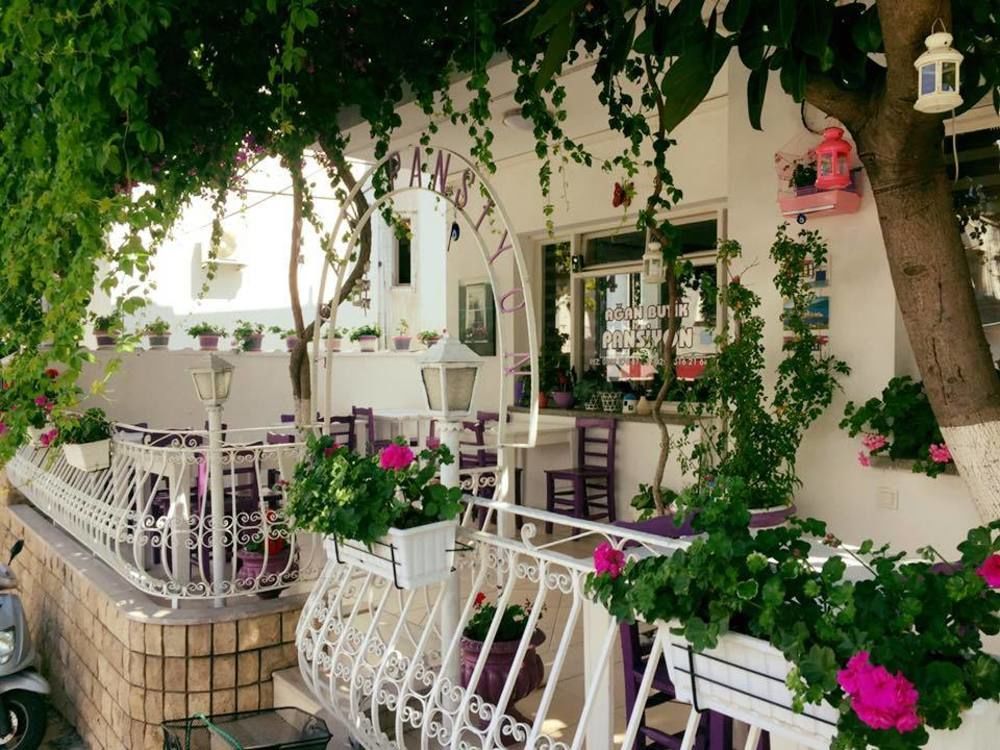 Agan Pension Bodrum Ngoại thất bức ảnh