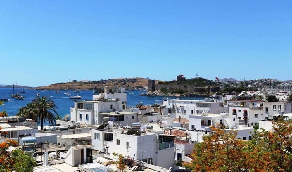 Agan Pension Bodrum Ngoại thất bức ảnh